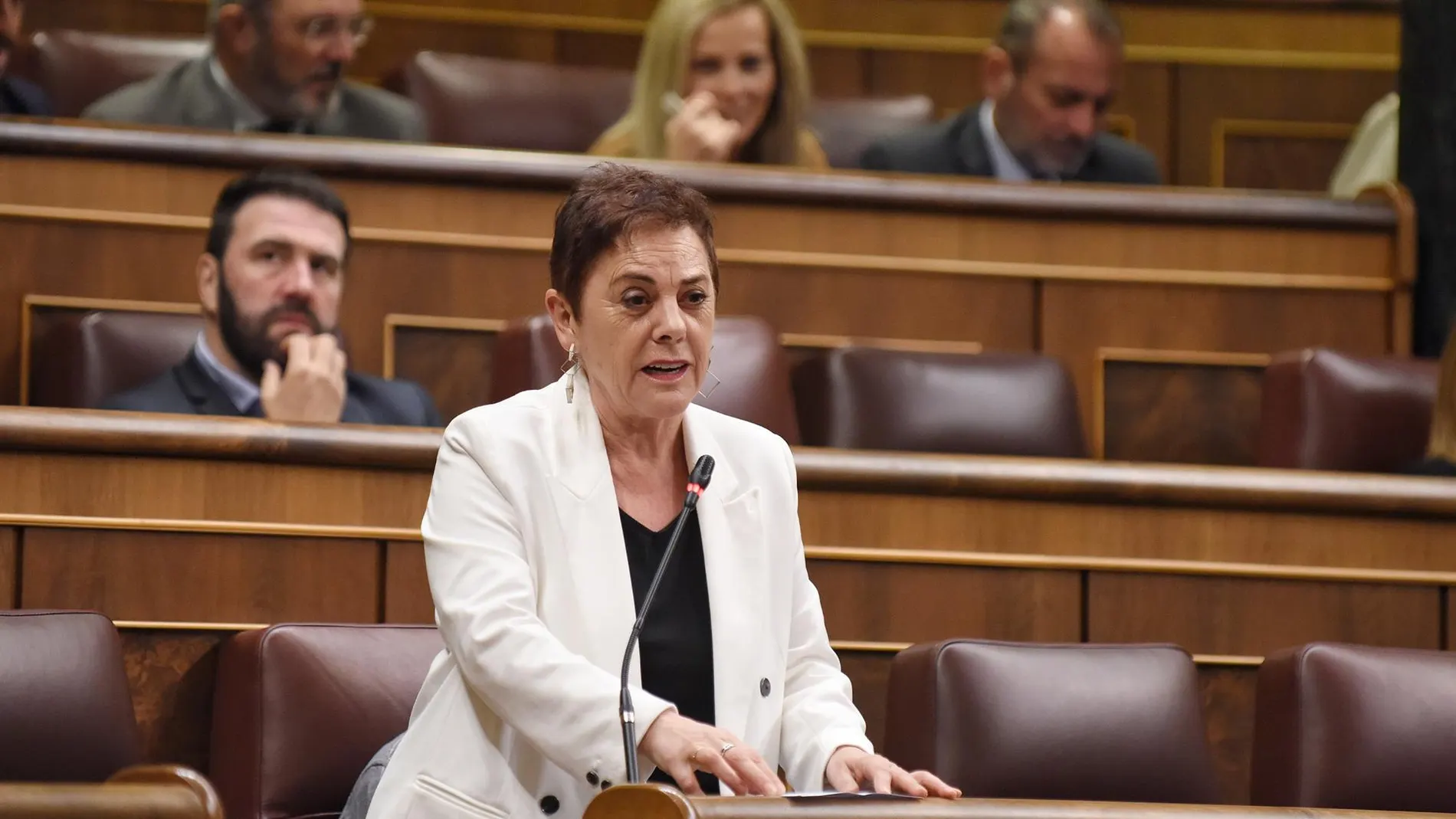 Mertxe Aizpurua, actual portavoz de Euskal Herria Bildu en el Congreso