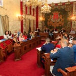 Imagen del pleno extraordinario de hoy en Alicante