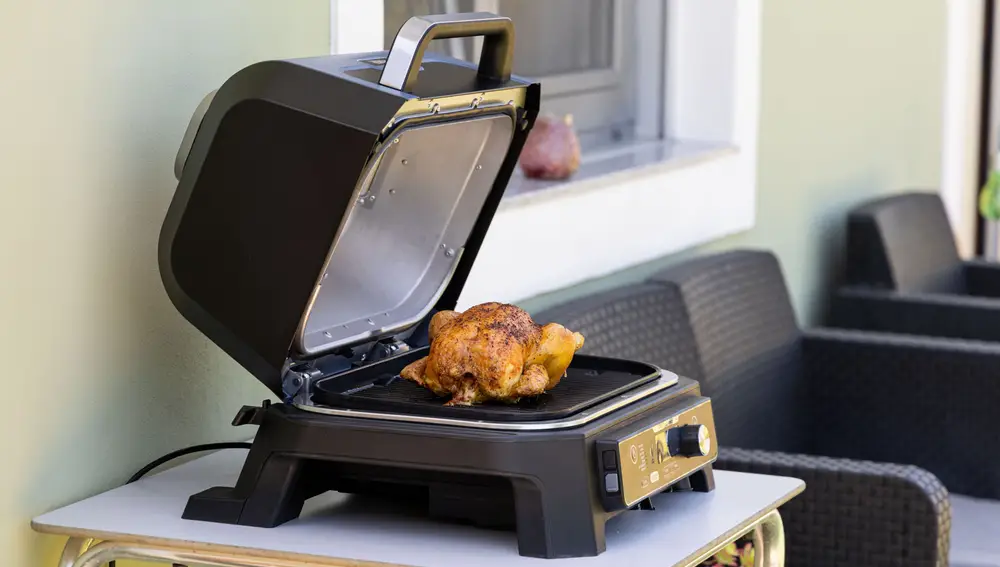 Ninja Woodfire Pro Connect XL