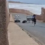 Indignación tras la muerte de un caballo en una carrera en Gran Canaria