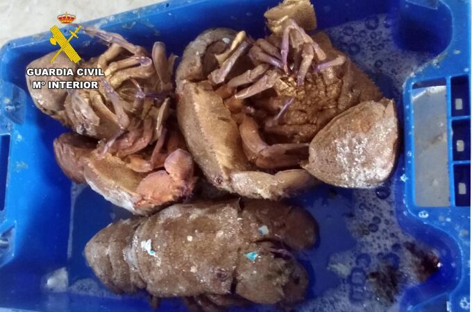 MURCIA.-Sucesos.- Cae en Cartagena un grupo delictivo con 4 detenidos y 300 kilos de pescado capturado de forma ilícita