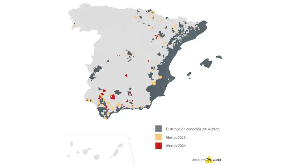 Nuevos municipios de España donde se detectó la presencia de mosquito tigre en 2023 y 2024