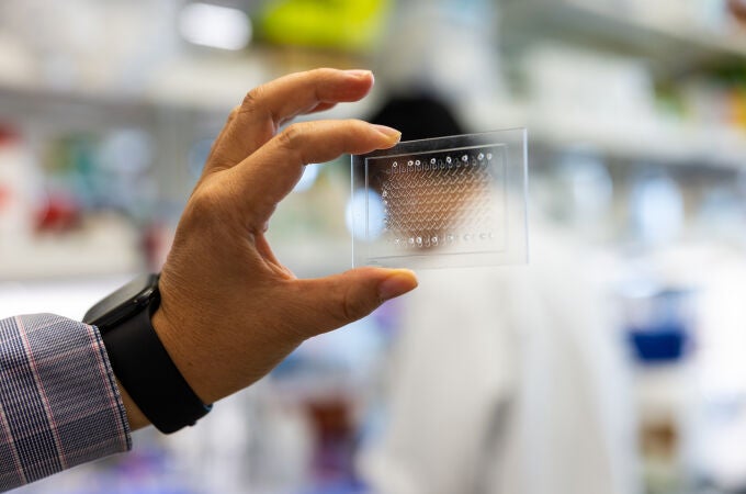 El nuevo dispositivo para detectar la infección de tuberculosis de la Universidad de Tulane tiene el tamaño de una tarjeta de crédito, no requiere electricidad y mejora significativamente la detección de la enfermedad en personas con VIH 
