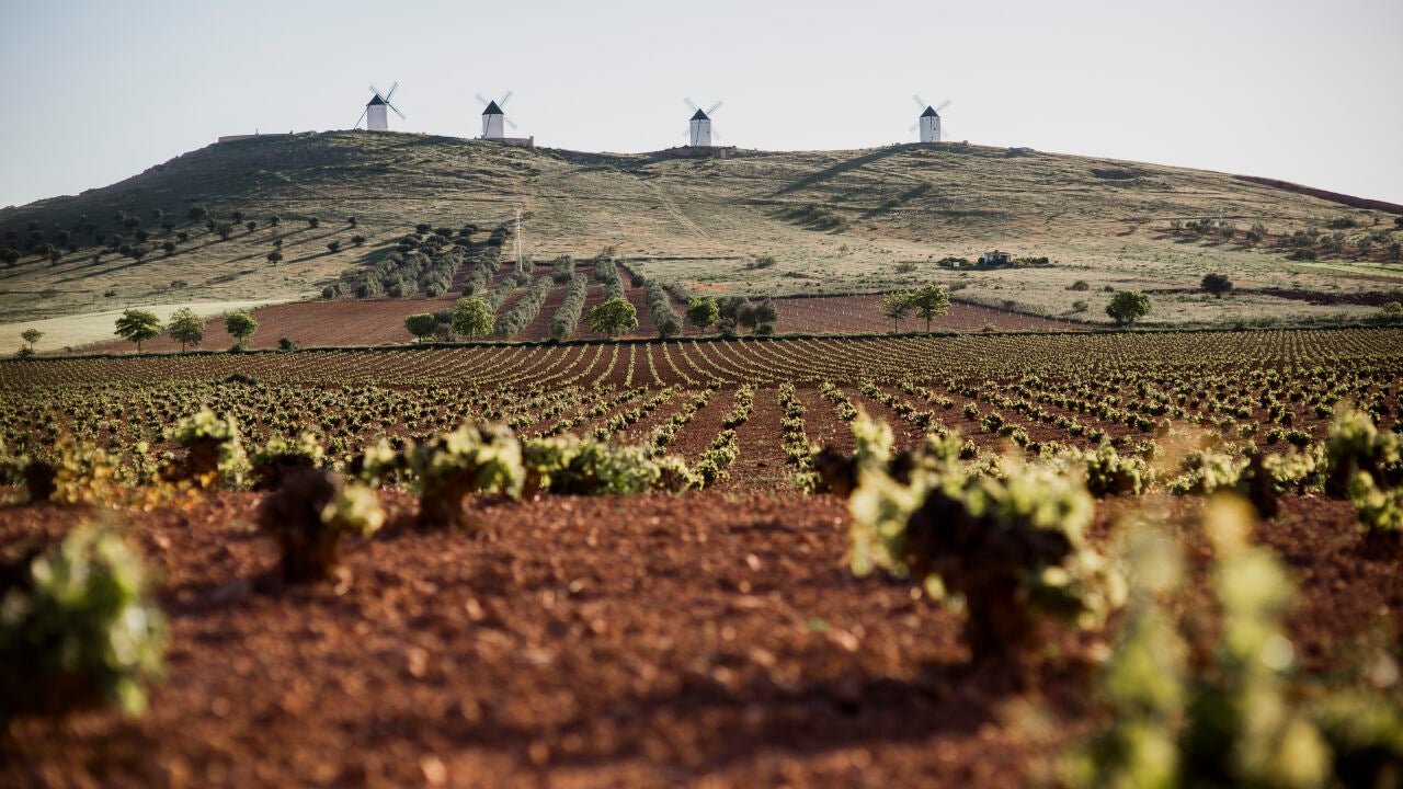 «slowsummer» entre viñas, molinos y estrellas