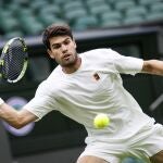 Así está el cuadro de Wimbledon 2025: el camino de Alcaraz, Sinner y Djokovic hasta la final