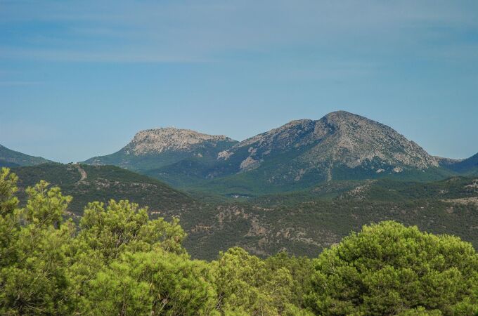 MURCIA.-Medio Ambiente regula desde este sábado las actividades en montes para evitar incendios forestales por la ola de calor