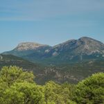MURCIA.-Medio Ambiente regula desde este sábado las actividades en montes para evitar incendios forestales por la ola de calor