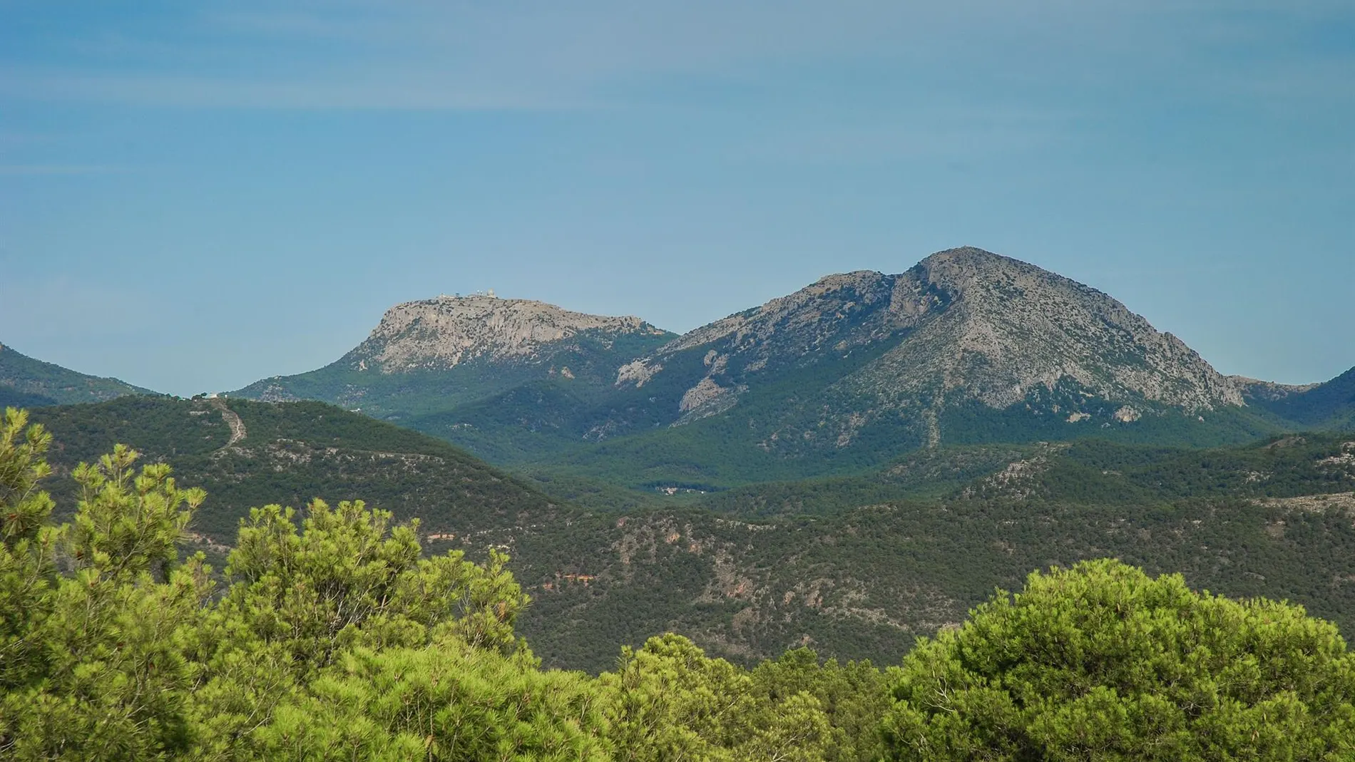 MURCIA.-Medio Ambiente regula desde este sábado las actividades en montes para evitar incendios forestales por la ola de calor