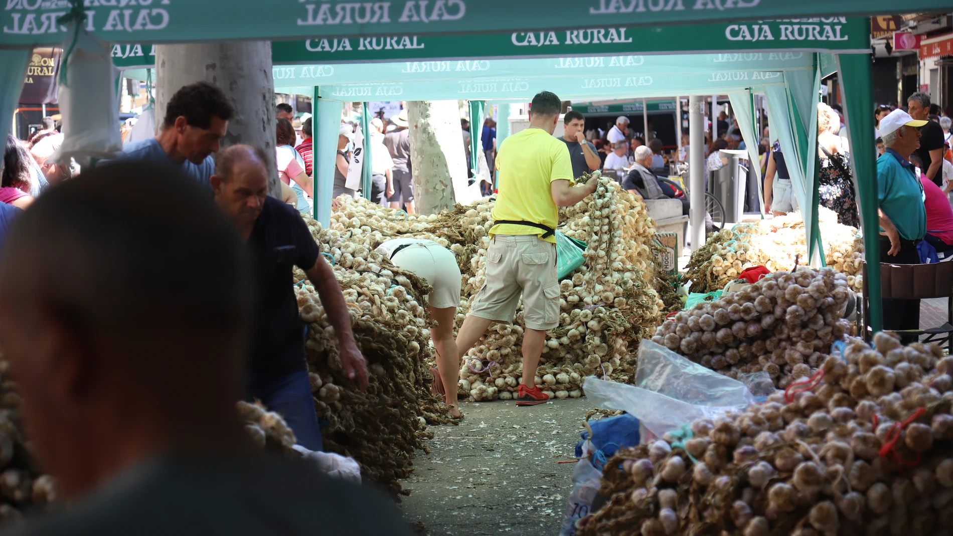 La Feria del Ajo de Zamora pone a la venta más de 800 toneladas
