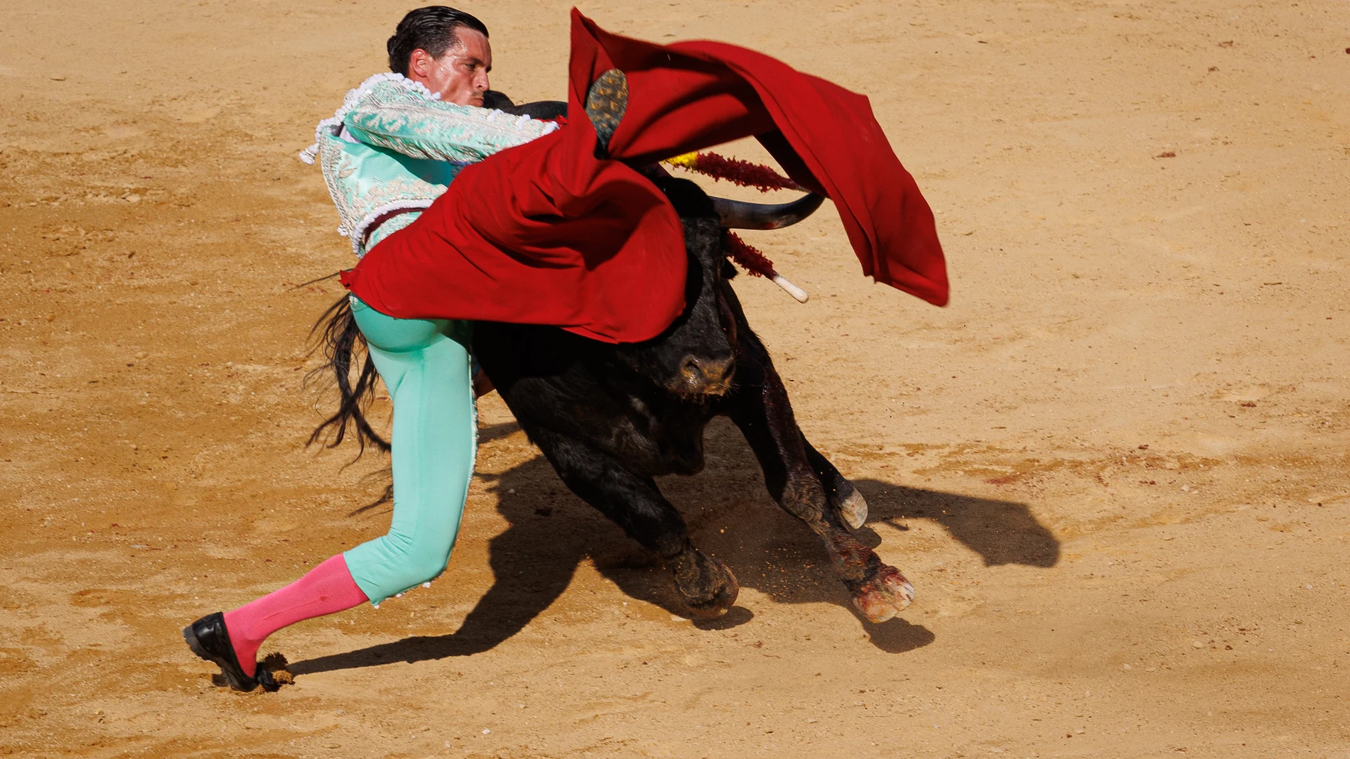 El diestro David Galván, herido en la cogida sufrida en la plaza de toros de Soria