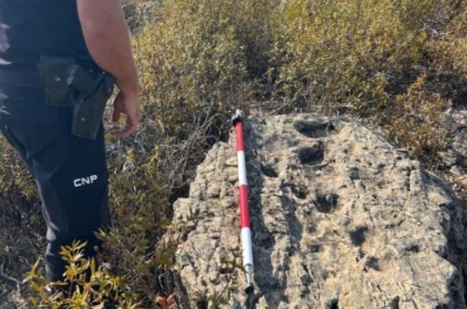 Localizan en Huelva un nuevo yacimiento megalítico y recuperan un bloque de cuarcita con 15 grabados rupestres