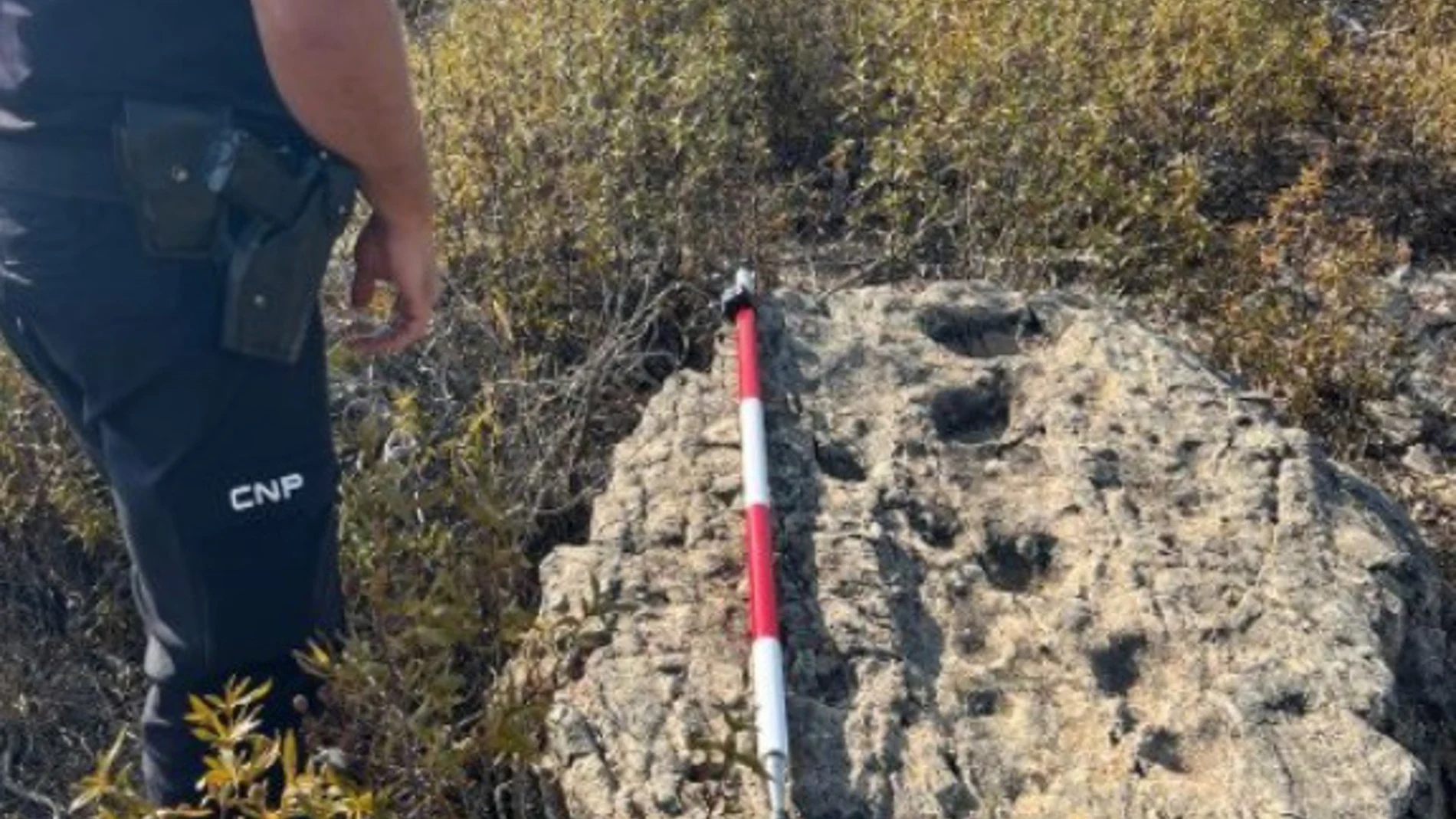 Localizan en Huelva un nuevo yacimiento megalítico y recuperan un bloque de cuarcita con 15 grabados rupestres