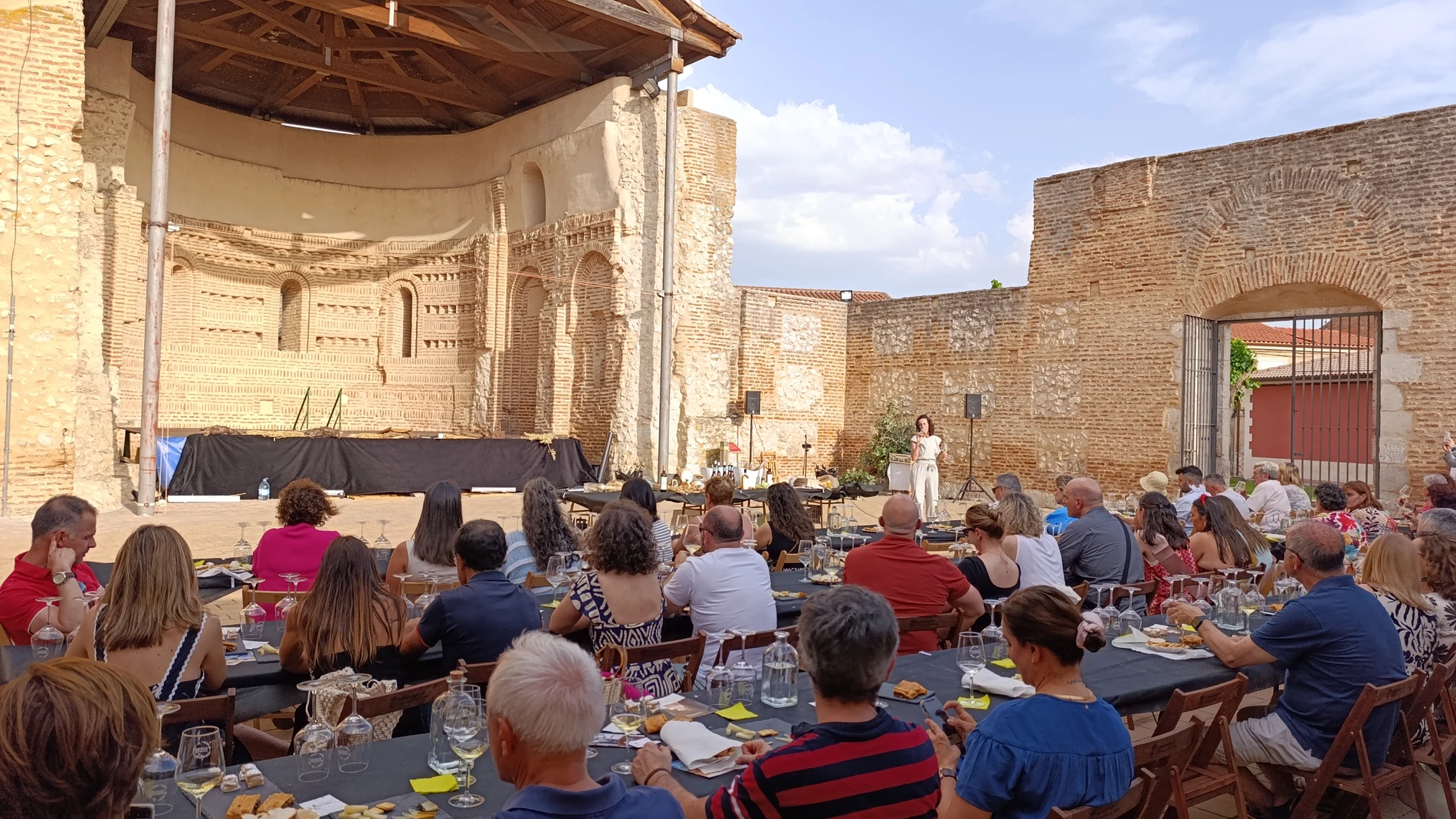 Cata en la iglesia de San Pedro de Alcazarén