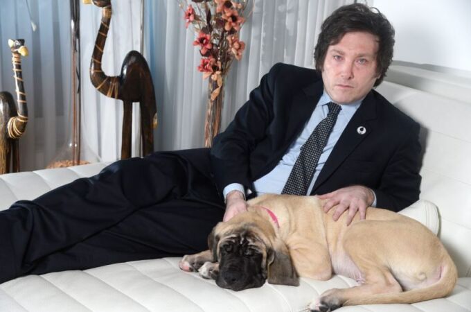 Así es el perro de Milei: qué raza es y cuánto cuesta