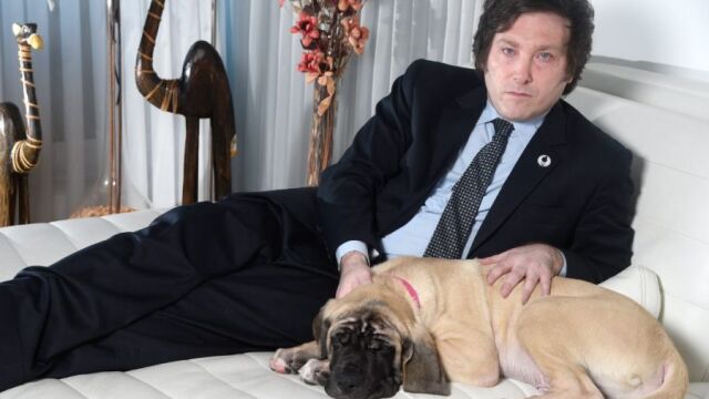 Así es el perro de Milei: qué raza es y cuánto cuesta