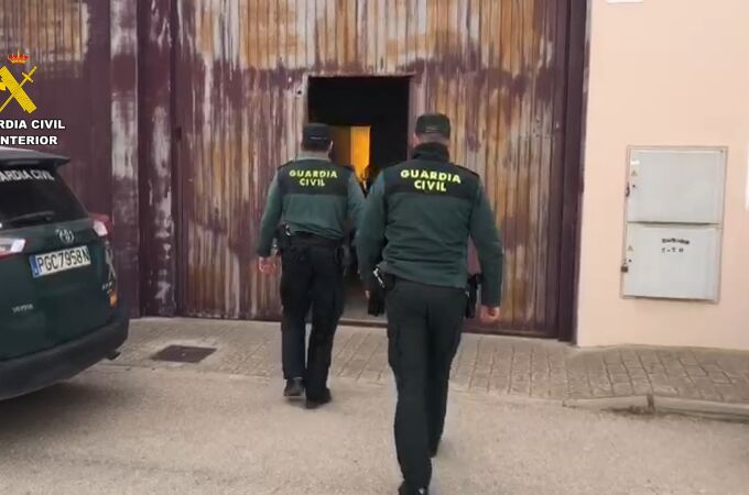 Desmantelación de una plantación de marihuana 'indoor' de 400 plantas en Chinchilla (Albacete)