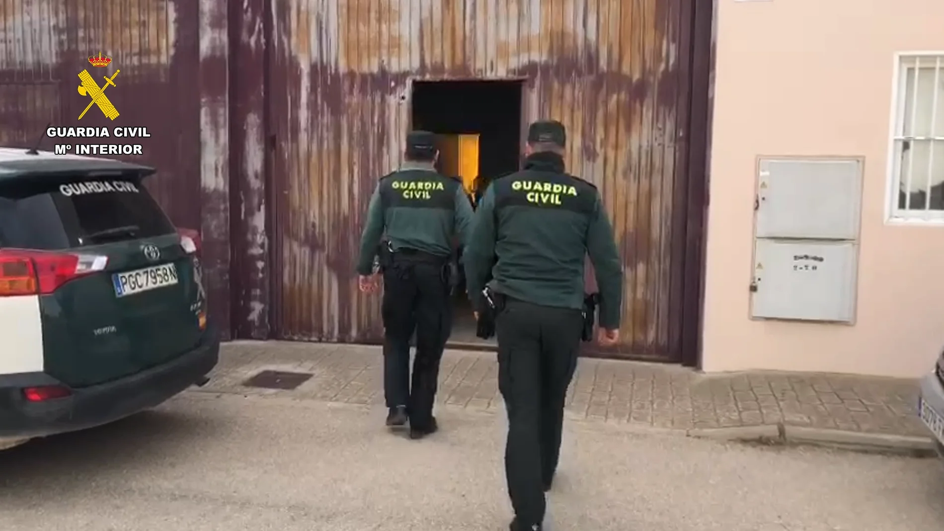 Desmantelación de una plantación de marihuana 'indoor' de 400 plantas en Chinchilla (Albacete)