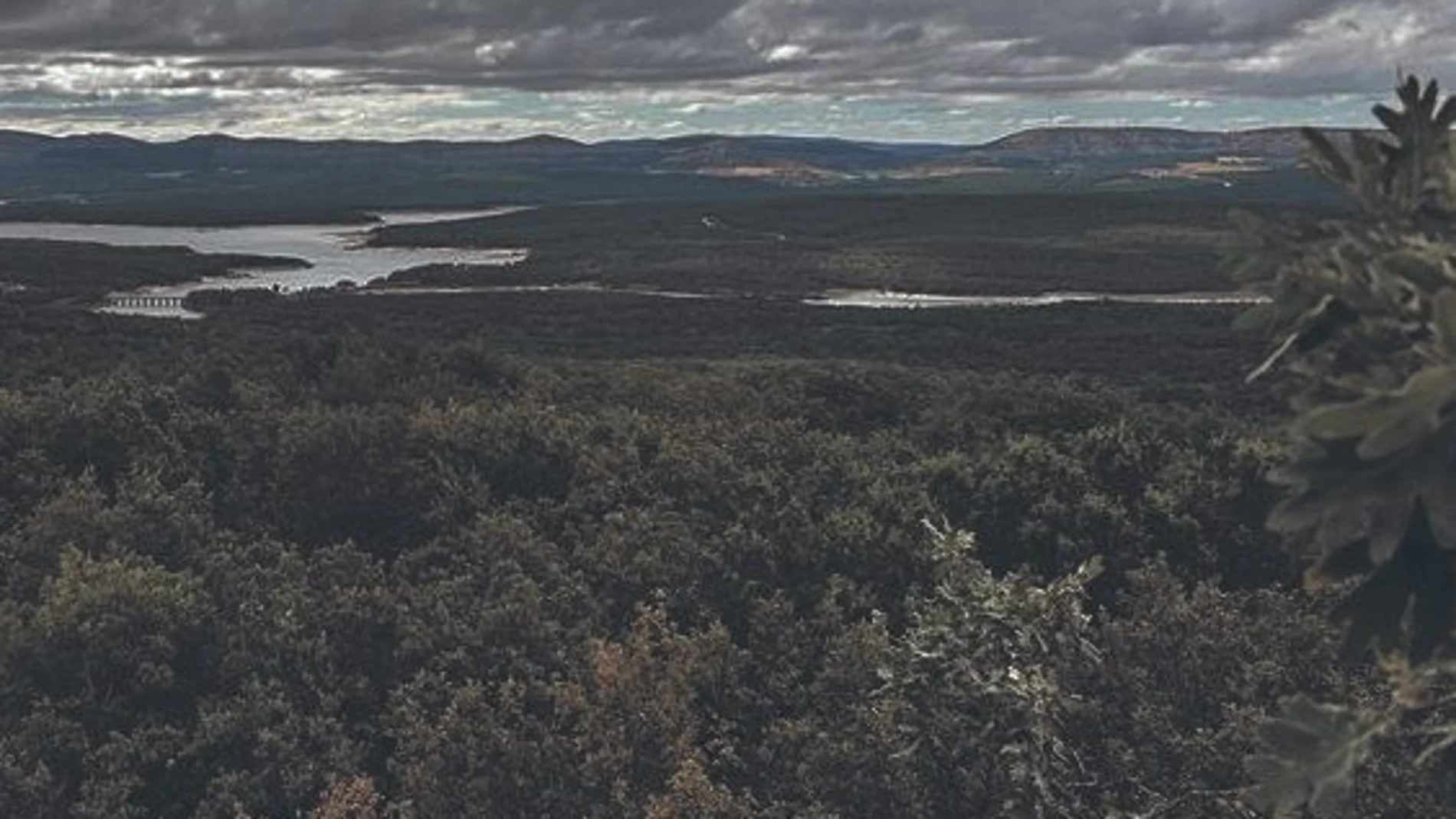 Zona del pico del Águila, en Molinos de Duero (Soria), donde se encuentra el campamento