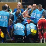 CWC PSG Bayern Munich Soccer