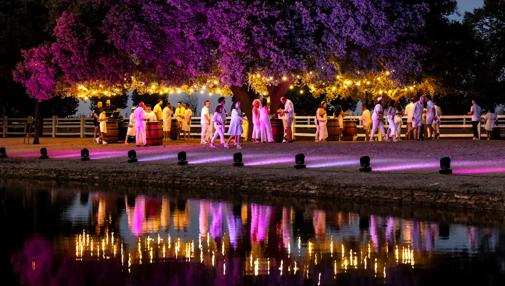 Festival Lavanda Aljibes