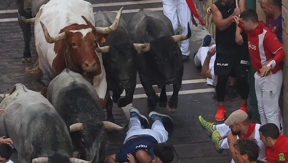 Vuelven a Pamplona los toros de José Escolar para el sexto encierro de los Sanfermines