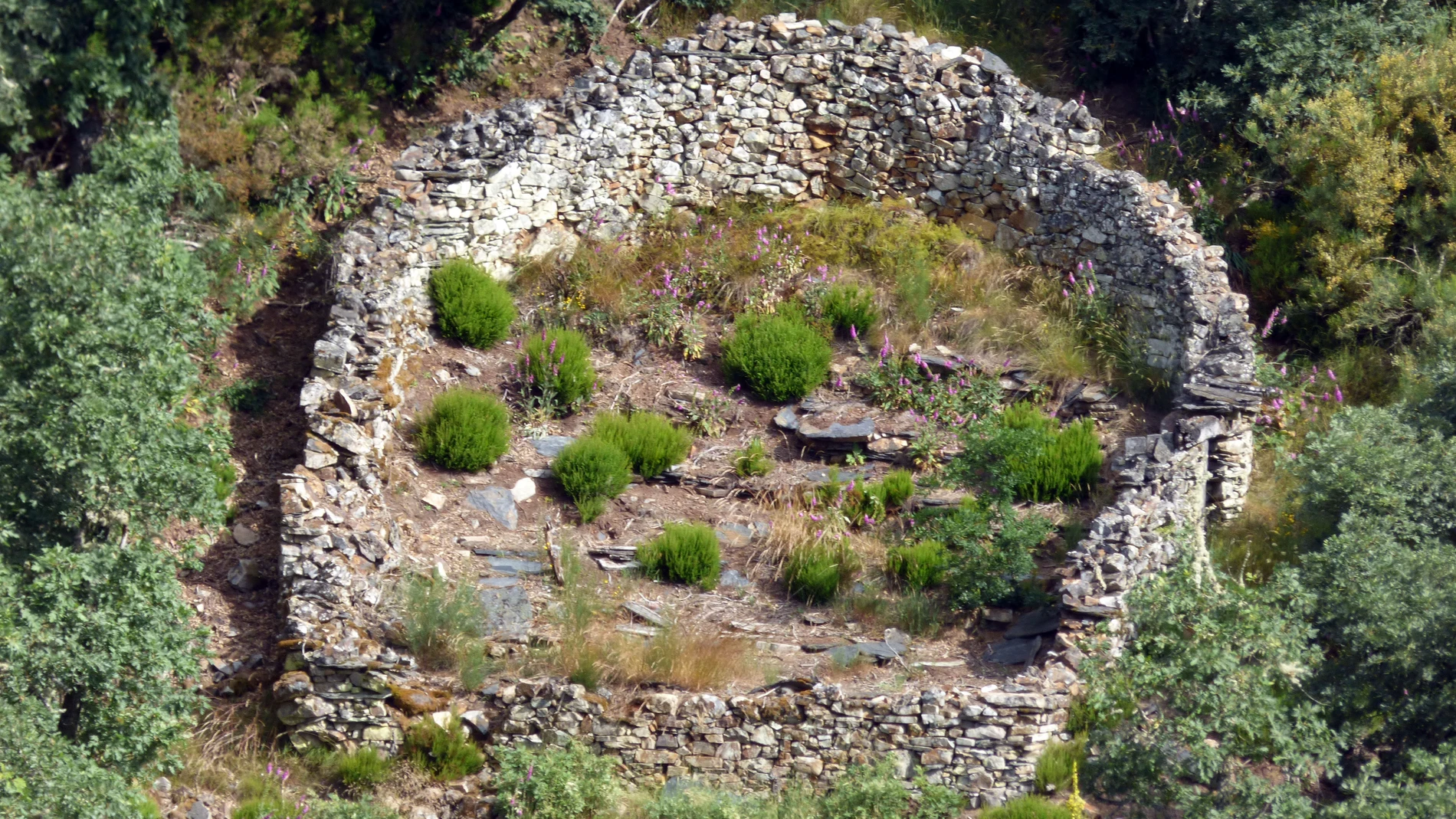 Cortines de Fonfría (Torre del Bierzo, León)