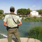 Estas son las recomendaciones de los agentes forestales de Madrid (y el aviso de multas)