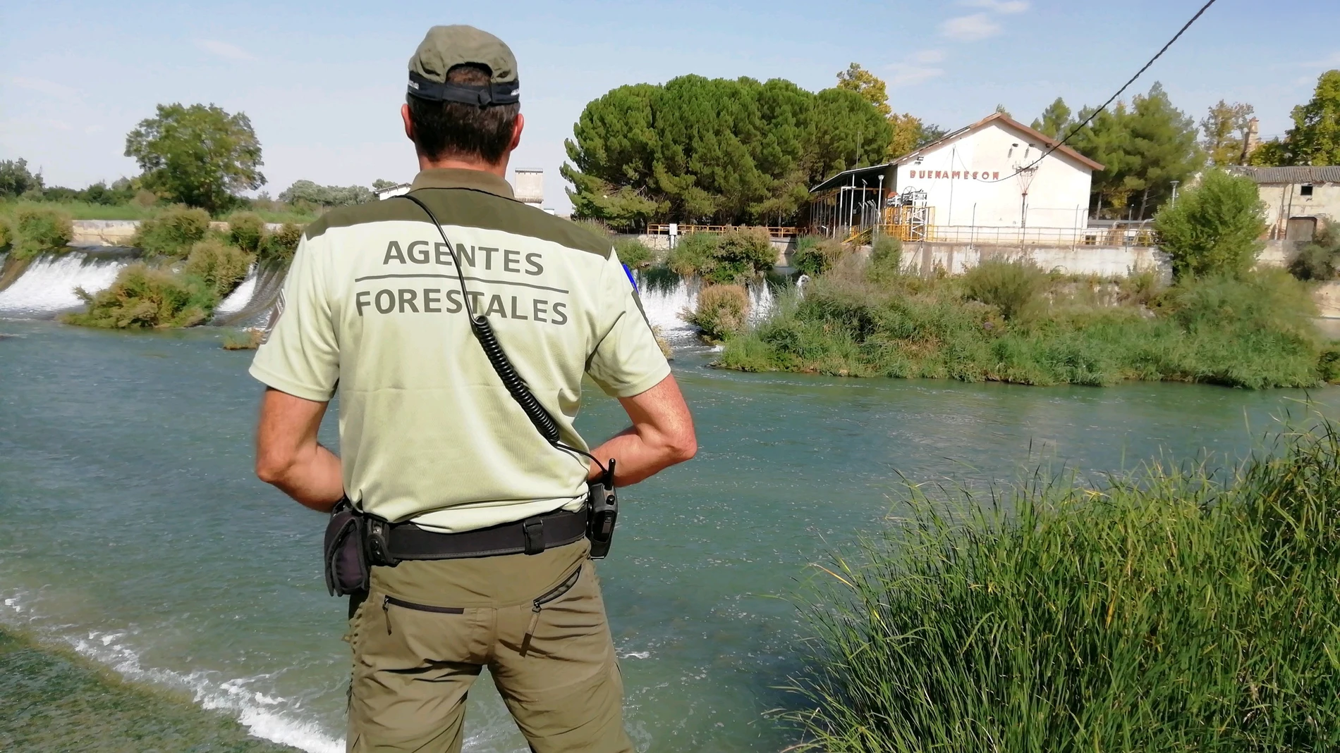Estas son las recomendaciones de los agentes forestales de Madrid (y el aviso de multas)