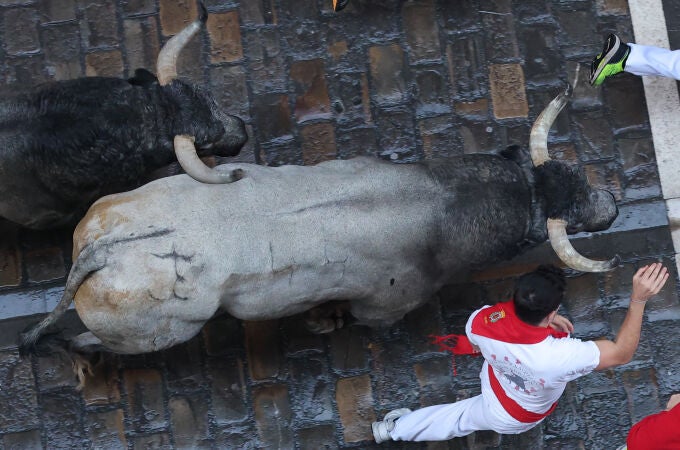 Vuelven a Pamplona los toros de José Escolar para el sexto encierro de los Sanfermines