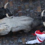 Vuelven a Pamplona los toros de José Escolar para el sexto encierro de los Sanfermines