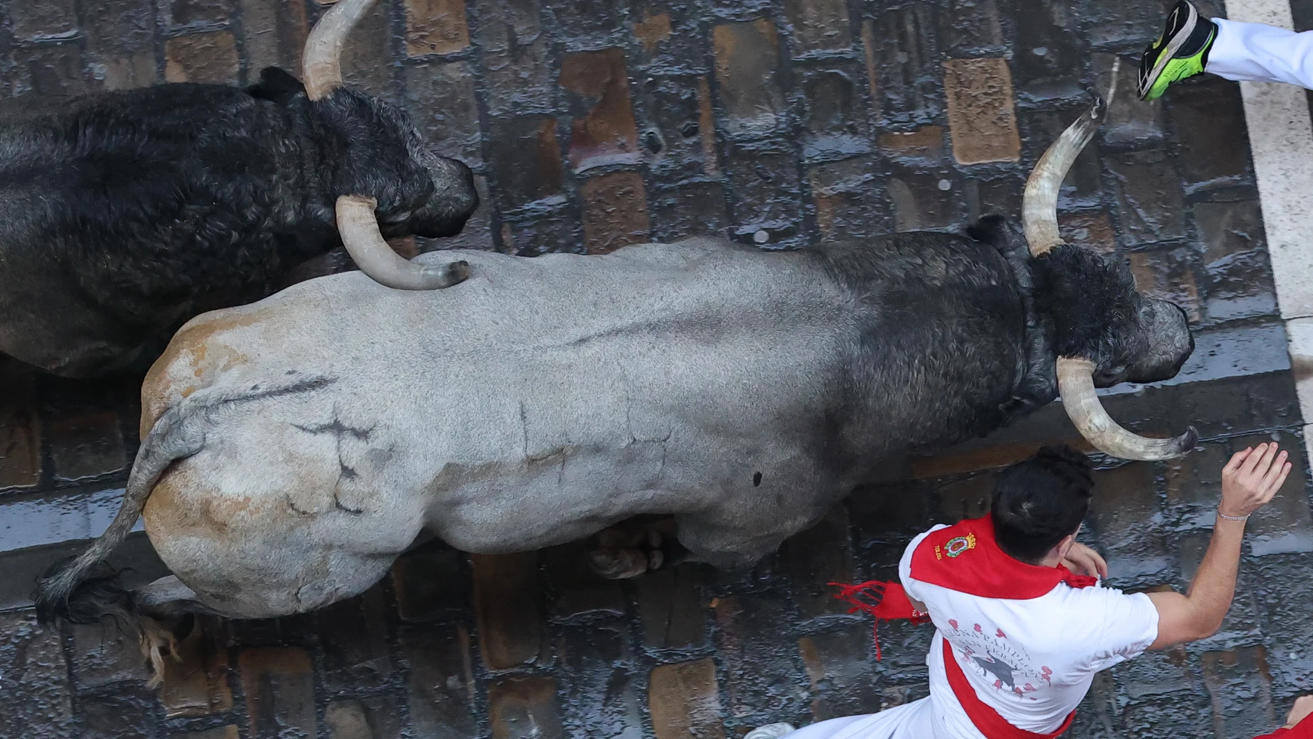 PAMPLONA, 12/07/2025.- Mozos perseguidos por los toros de la ganadería de José Escolar en el tramo inicial de la Calle Estafeta desde la curva de Mercaderes, en el sexto encierro de los Sanfermines, este sábado en Pamplona. EFE/J.P. Urdiroz