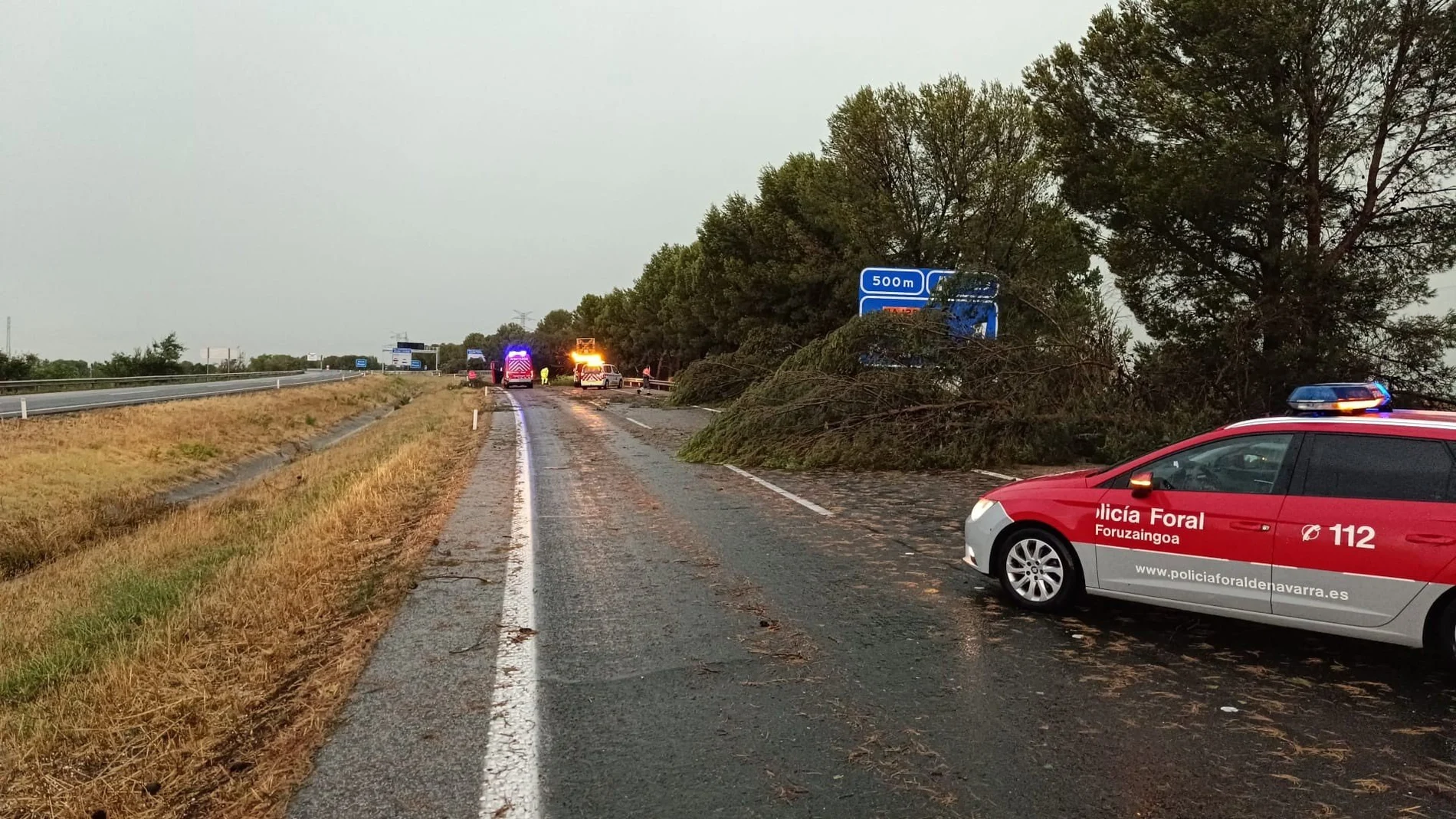 Una treintena de intervenciones tras las tormentas del viernes en Navarra