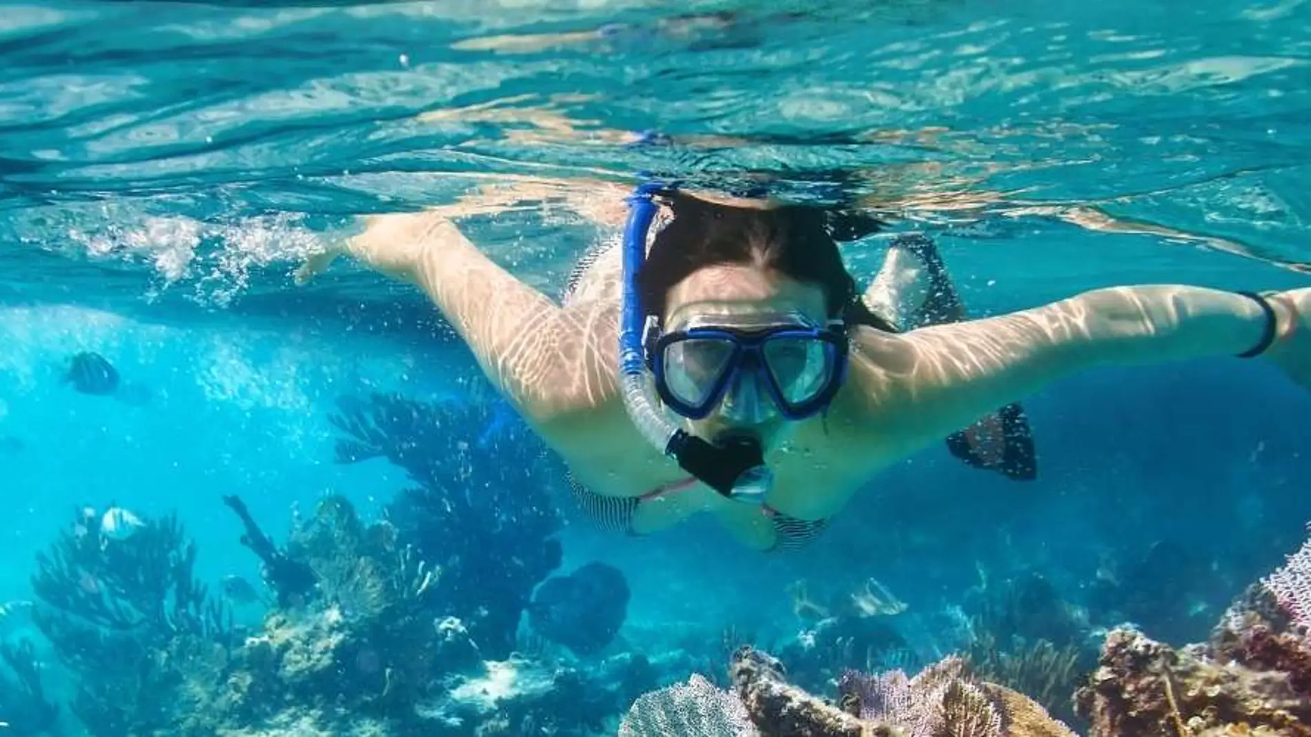 set de snorkel