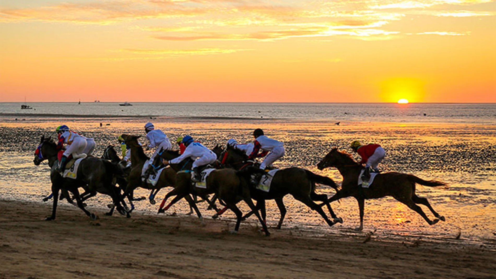 Albariza galopa con las carreras de caballos de Sanlúcar de Barrameda