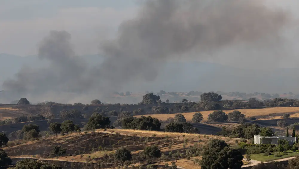 Medios aéreos y terrestres combaten un incendio forestal en Méntrida (Toledo)
