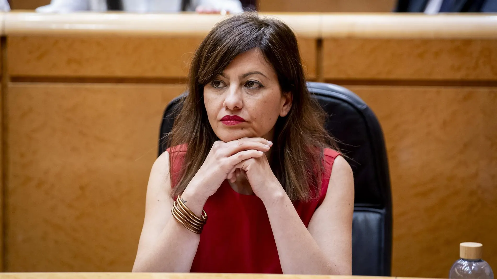 Rego dice que el hijo menor de Juana Rivas "teme por su vida", según el informe de la psicóloga
