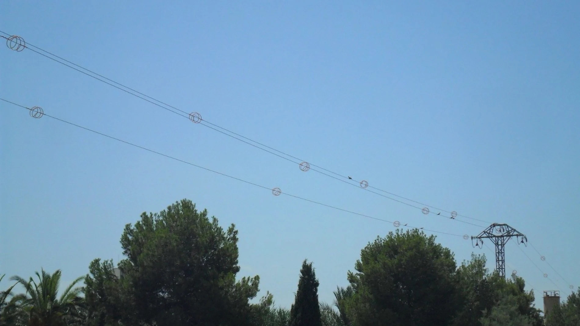 MURCIA.-Comunidad da un paso más en la protección de las aves con una inversión de 1,45 millones para adaptar líneas eléctricas