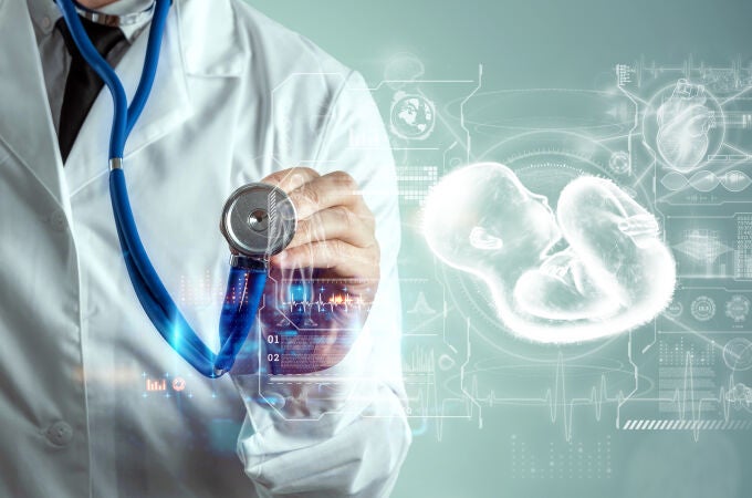  El microquimerismo empezó como una sospecha, pero hoy es una de las áreas más prometedoras de la investigación biomédica