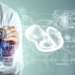 El microquimerismo empezó como una sospecha, pero hoy es una de las áreas más prometedoras de la investigación biomédica
