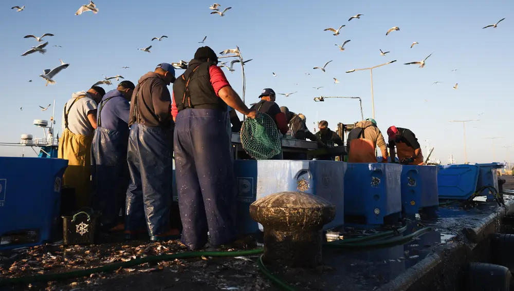 Imagen de pescadores en Matosinhos
