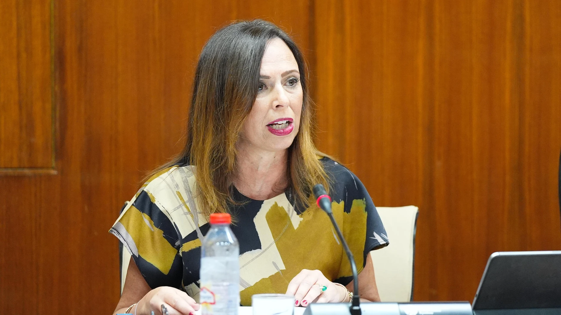 La consejera de Fomento, Rocío Díaz, en la comisión del 29 de julio de 2025.REMITIDA / HANDOUT por JOAQUIN CORCHERO / PARLAMENTO DE ANDALUCIAFotografía remitida a medios de comunicación exclusivamente para ilustrar la noticia a la que hace referencia la imagen, y citando la procedencia de la imagen en la firma29/07/2025