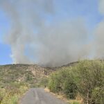 Estabilizado el conato de incendio declarado este lunes en Tenerife tras quemar 60 hectáreas