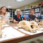  Investigadores de la Universidad de León y del Museo Nacional de Ciencias Naturales presentan la primera Campaña de recuperación de restos de fauna del Cuaternario en cuevas de la provincia