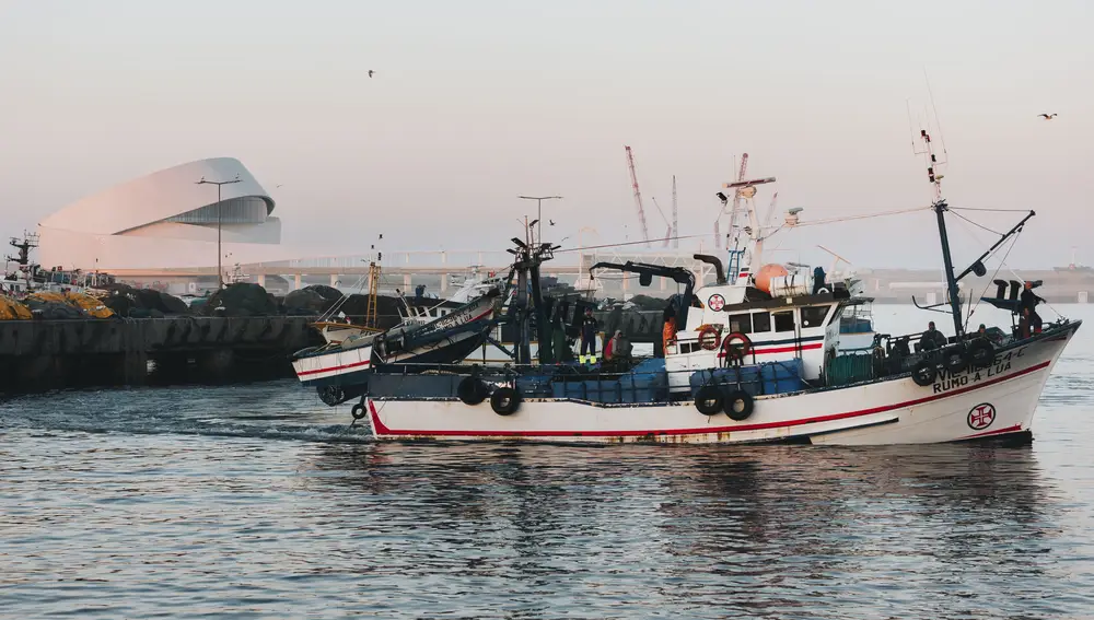 Pesca sostenible en Matosinhos