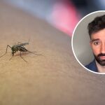 David Callejo, médico: “¿Te pican muchos los mosquitos? Hay explicación científica y una manera de evitarlo”