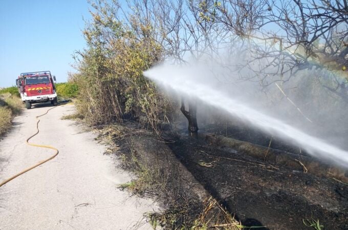 Bomberos sofocan un incendio de huerta en Albudeite