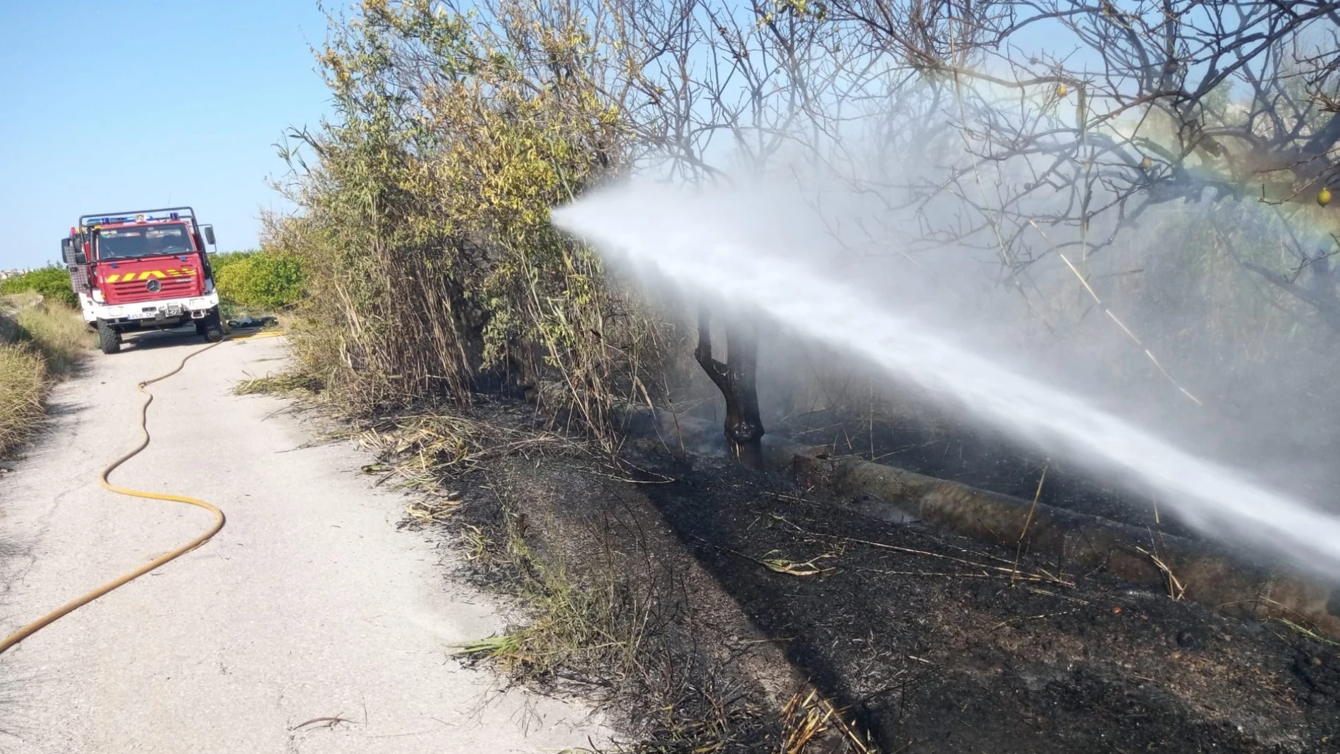 Bomberos sofocan un incendio de huerta en Albudeite REMITIDA / HANDOUT por CEIS Fotografía remitida a medios de comunicación exclusivamente para ilustrar la noticia a la que hace referencia la imagen, y citando la procedencia de la imagen en la firma 01/08/2025