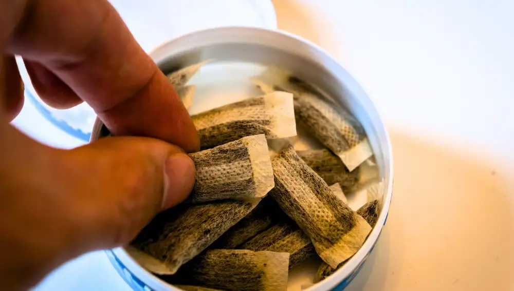 Interior de una caja de snus de cafeína