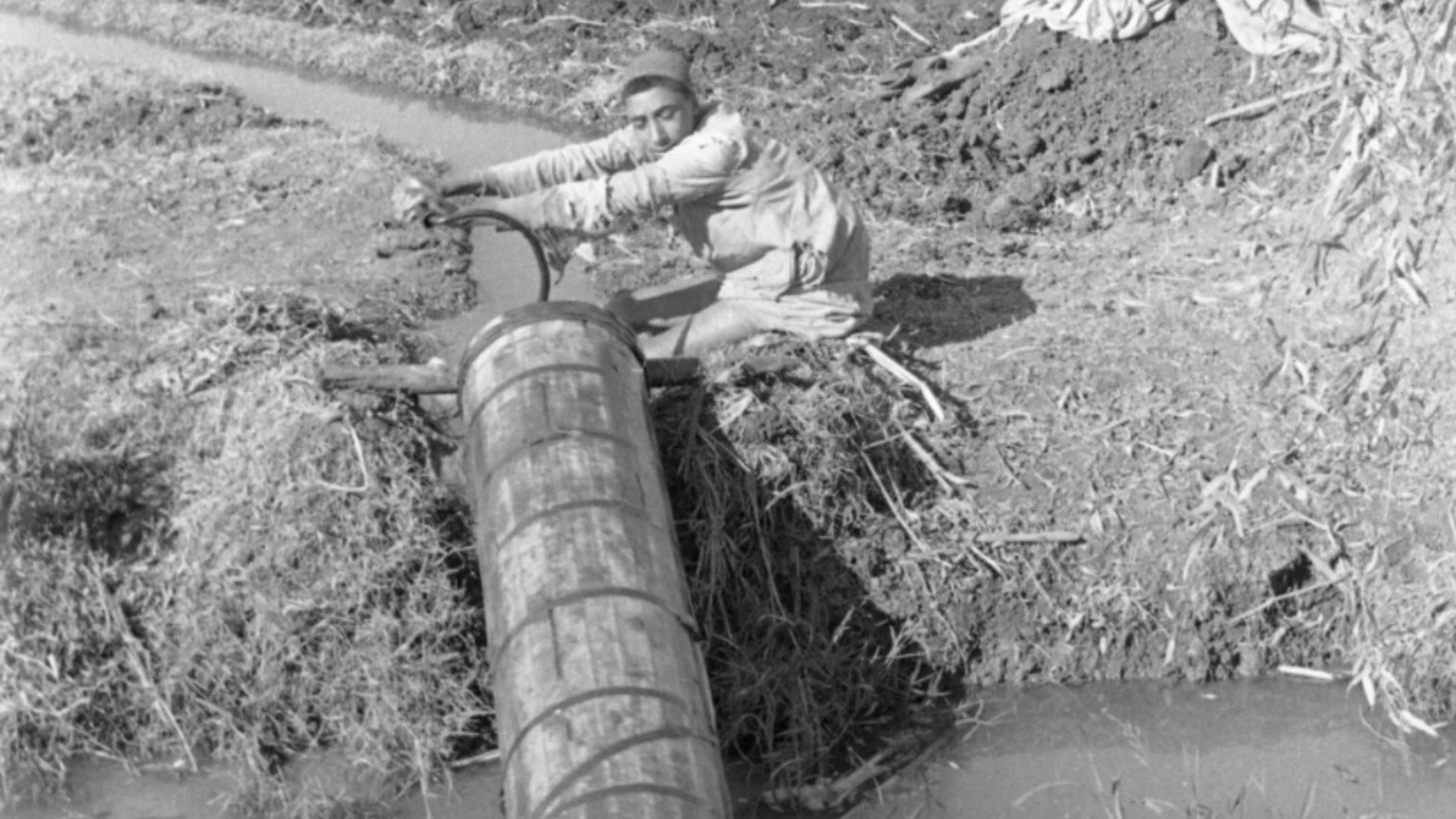 Así es el tornillo de Arquímedes: la ingeniosa solución griega que podría haber salvado a Valencia de la DANA