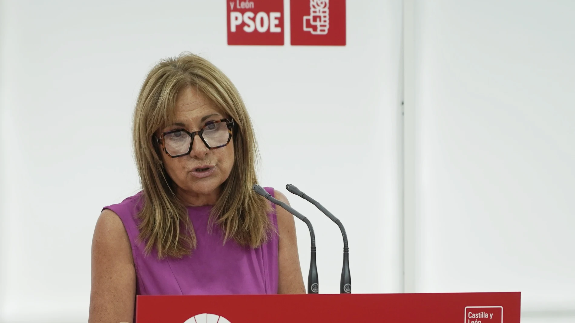La secretaria de Empleo del PSOECyL, Ana Arias, valora en rueda de empleo la actuación de la Junta de Castilla y León en materia de empleo